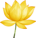 soil-2-soul-expedition-Yellow-lotus-flowers